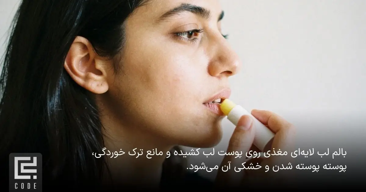 بالم لب چیست